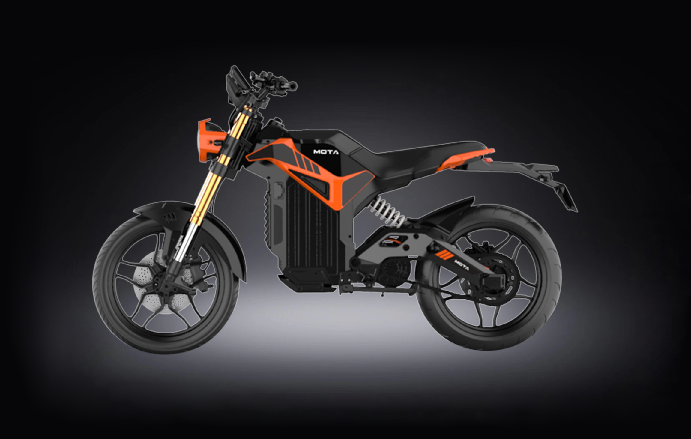 Z1 Pro Galerie 2